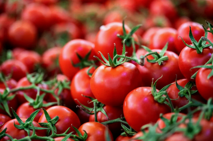 Томаты